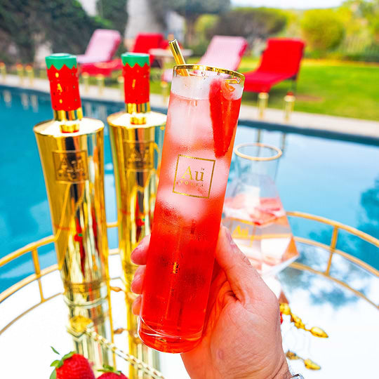 Bird Dog Ruby Red Grapefruit 750 ml - Captain Caskwell